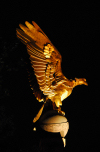 London: golden eagle - RAF memorial - Victoria Embankment, Westminster - photo by M.Torres