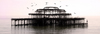 Brighton, East Sussex, England, United Kingdom: silhouetted remains of the old burnt west Pier and seagulls - designed by Eugenius Birch - photo by B.Henry