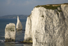 Old Harry Rocks, Jurassic Coast, Dorset, England: the Pinnacles - Handfast Point - UNESCO World Heritage Site - photo by I.Middleton