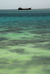 Eritrea - Massawa, Northern Red Sea region: ship on the Red sea - freighter  - photo by E.Petitalot