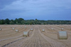 Estonia - outside Tartu / TAY (Tartumaa province): fields by the road to Tallin - hay bales - harvest (photo by A.Dnieprowsky)