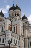 Estonia - Tallinn: side view of Alexander Nevski Orthodox Cathedral - photo by C.Schmidt
