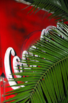 Addis Ababa, Ethiopia: London bus - Coca-Cola ad - University - photo by M.Torres