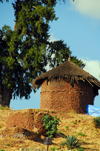 Lalibela, Amhara region, Ethiopia: hut under a tree - photo by M.Torres