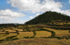 Axum - Mehakelegnaw Zone, Tigray Region: terraced fields - agriculture - photo by M.Torres