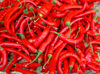 Addis Ababa, Ethiopia: red chili peppers - Capsicum - photo by M.Torres