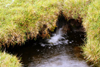 Vgar island, Faroes: small waterfall hidden by grass, near Srvagsvatn lake - photo by A.Ferrari