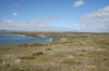 Falkland islands - East Falkland - Port Louis - Berkeley Sound - photo by Christophe Breschi