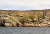 Falkland islands - East Falkland - Port Louis - scarps - photo by Christophe Breschi