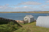 Falkland islands - East Falkland - Port Louis - sheep skins - photo by Christophe Breschi