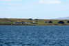 Falkland islands - East Falkland - Port Louis - the settlement - photo by Christophe Breschi