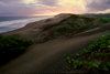 Sigatoka Dunes, Coral Coast, Viti Levu, Fiji: dunes on the Coral Coast south of Kulukulu Village with stormy sky - photo by C.Lovell