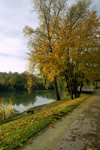 La Varenne, Val-de-Marne, Ile-de-France: autumn - trees along the Marne river - photo by Y.Baby