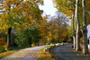 La Varenne, Val-de-Marne, Ile-de-France: road and cycleway - autumn - photo by Y.Baby