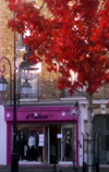 La Varenne, Val-de-Marne, Ile-de-France: boutique and red tree - photo by Y.Baby
