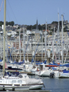 Le Havre, Seine-Maritime, Haute-Normandie, France: Yacht Harbour - masts in the marina - photo by A.Bartel