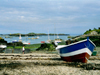France - les normandes - Iles Chausey / Chausey island - La Grande Ile  (Manche, Basse-Normandie): fishing boat - photographer: T.Marshall