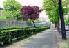 France - Paris / CDG / ORY / LBG : Le Metro - Boulevard Pasteur (photo by David S. Jackson)