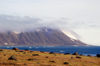 45 Franz Josef Land: Mountain scenic from Flora Island - photo by B.Cain