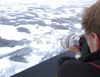 56 Franz Josef Land: Photographer shooting a polar bear from the cruise ship (photo by B.Cain)