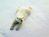 65 Franz Josef Land: Polar Bear Outstretched on ice - photo by B.Cain