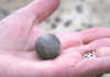 80 Franz Josef Land: Spherical pebble in hand, Champ Island - photo by B.Cain