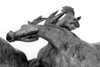 Galicia / Galiza - Tui / Tuy (Pontevedra province): horses statue / cavalos - photo by M.Torres