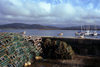 Galicia / Galiza - Camarias - A Corua province: lobster traps and young seagulls - ra - Costa de la Muerte - Costa da Morte - comarca da Terra de Soneira - photo by S.Dona'