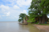 James Island / Kunta Kinteh island, The Gambia: crumbling walls of Fort James, its foundations eroded by the river Gambia - beach with baobab trees - UNESCO world heritage site - photo by M.Torres