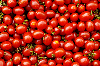 Germany / Deutschland / Allemagne -  Baden-Wurttemberg - Schwbisch Gmnd - market - Feldfrucht,Feldfrchte,fruit,Gemse,Obst,salad,Salat,Tomaten,tomato,tomatoes,vegetables (photo by W.Schmidt)