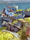 Greek islands - Samos: fishing boats - photo by M.Bergsma