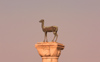 Greece - Rhodes island - Rhodes city - Mandraki Harbour - column at the entrance - female deer - photo by A.Dnieprowsky