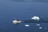 88 Ilulissat / Jakobshavn - Disko bay - fishing boat at work - crew of one - photo by W.Allgower