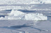 Greenland - Ilulissat / Jakobshavn - dense ice - Jakobshavn Glacier, the Ilulissat Icefjord - photo by W.Allgower