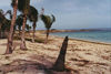 Guam: beach once defended by the Emperor's soldiers(photo by G.Frysinger)