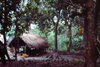 Guinea Bissau / Guin Bissau - Tabanka du matu - hut in the jungle (foto de / photo by Dolores CM)