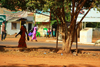 Guinea Bissau / Guin Bissau - Bafat, Bafat Region: woman and tree - street scene / mulher, vida quotidiana - photo by R.V.Lopes