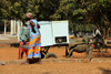 Guinea Bissau / Guin Bissau - Bafat, Bafat Region: man and woman selling cold drinks, donkey cart with fridges / homem e mulher, vida quotidiana, venda de bebidas transportadas em carroa atrelada a um burro - photo by R.V.Lopes