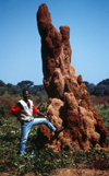 Guinea Bissau / Guin Bissau - Bula: giant ant hill - termites / castelo de trmitas - Baga-Baga (foto de / photo by Dolores CM)