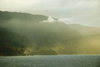 18 Hawaii - Kauai Island: Na Pali coast: in the mist - Hawaiian Islands - photo by D.Smith