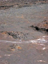 Hawaii island - Kilauea volcano: hikers in the lava field - UNESCO World Heritage Site - photo by R.Eime