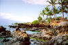 Hawaii - Maui island: leaves - Photo by G.Friedman