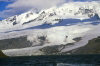 Heard Island: snow and ice looms above the glaciers - photo by F.Lynch