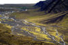Iceland Glacier tributaries (photo by B.Cain)