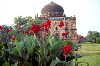 India - Delhi: Bara Gumbad's mausoleum (photo by Francisca Rigaud)