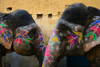 Jaipur / JAI , Rajasthan, India: painted elephants - head decoration - photo by M.Wright