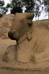 India - Kanchipuram (Tamil Nadu): Nandi bull, the white bull which Shiva rides- religion - Hinduism - Hindu mythology - Itihasa - photo by W.Allgwer