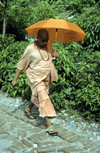India - Uttaranchal - Rishikesh: Sadhu with parasol - photo by W.AllgwerEin Sadhu (Sanskrit) ist ein hinduistischer Mnch mit asketischem Lebenswandel, der vom Betteln lebt. In Indien/Nepal werden sie meist sehr respektiert, da ihre Askese nicht nur al