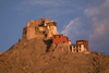 India - Ladakh - Jammu and Kashmir: Leh - Namgyal Tsemo Gompa - Buddhist monastery - photos of Asia by Ade Summers