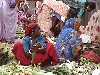 India - Diu (Daman and Diu - former Portuguese India / Ex Estado Portugus da India): selling corn at the market (photo by Alejandro Slobodianik)